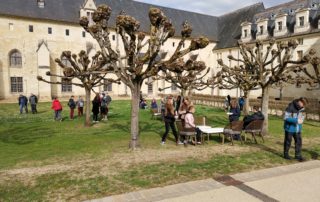 tn_IMG_20190319_1530571