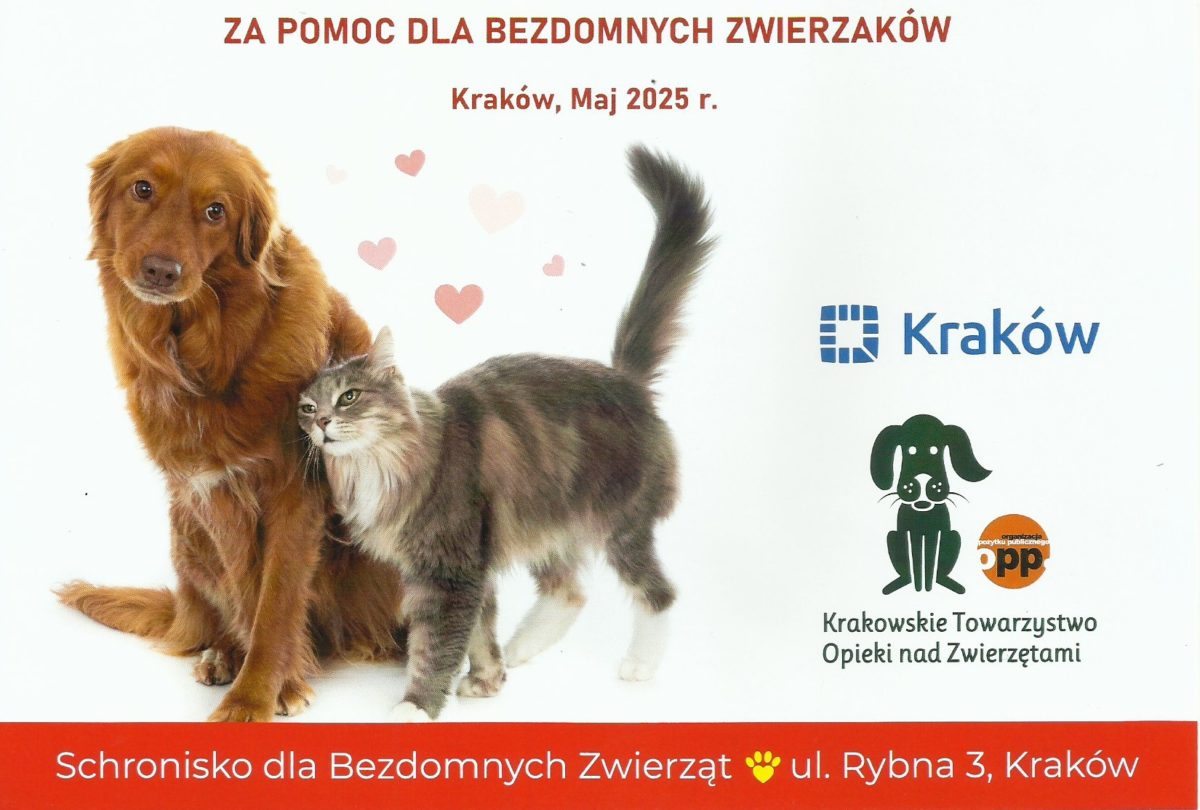 KTOZ LO wyr