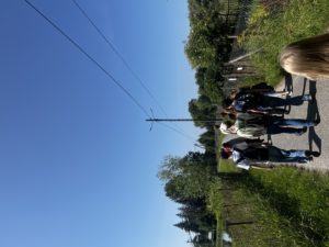 IMG_8154