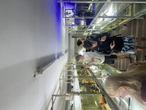 IMG_8167