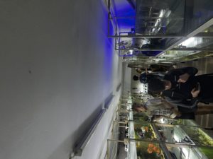 IMG_8168