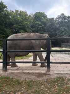 3E ZOO biologia dwujęzyczna (3)