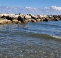 RIMINI 12
