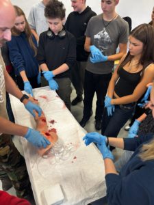 motion_photo_8509130927424470268(1)