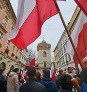 Święto Niepodległości 2025 (1)