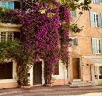 LW 2026 3 ST TROPEZ (6)