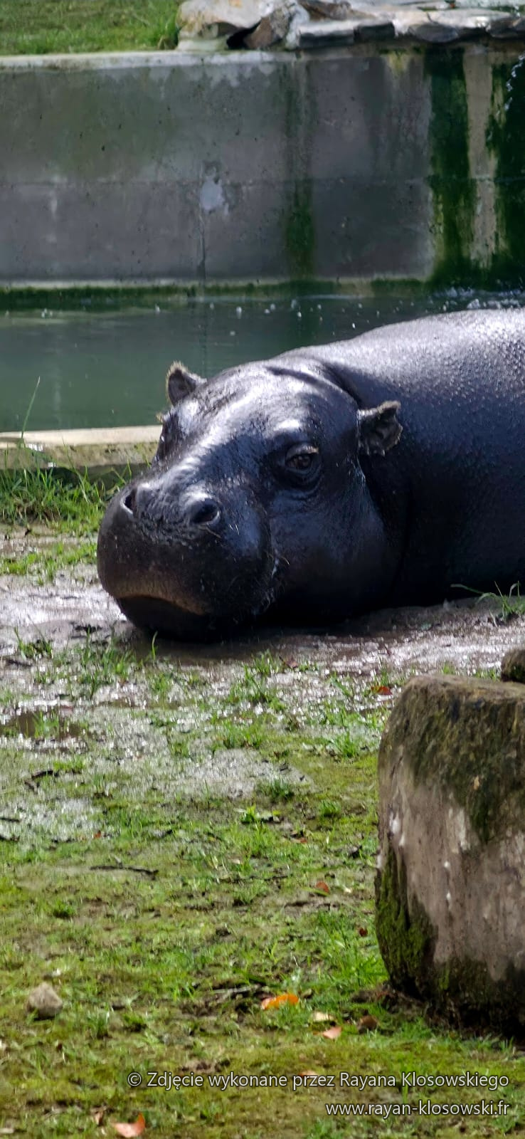 ZOO 3A 2026 (7)