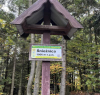 Śnieżnica 2026 (2)